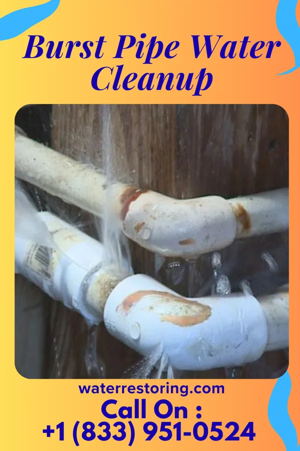 Burst Pipe Water Cleanup in Kahite, TN