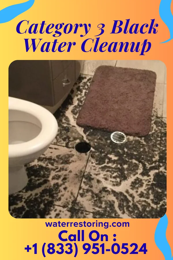 Category 3 Black Water Cleanup in Kahite, TN
